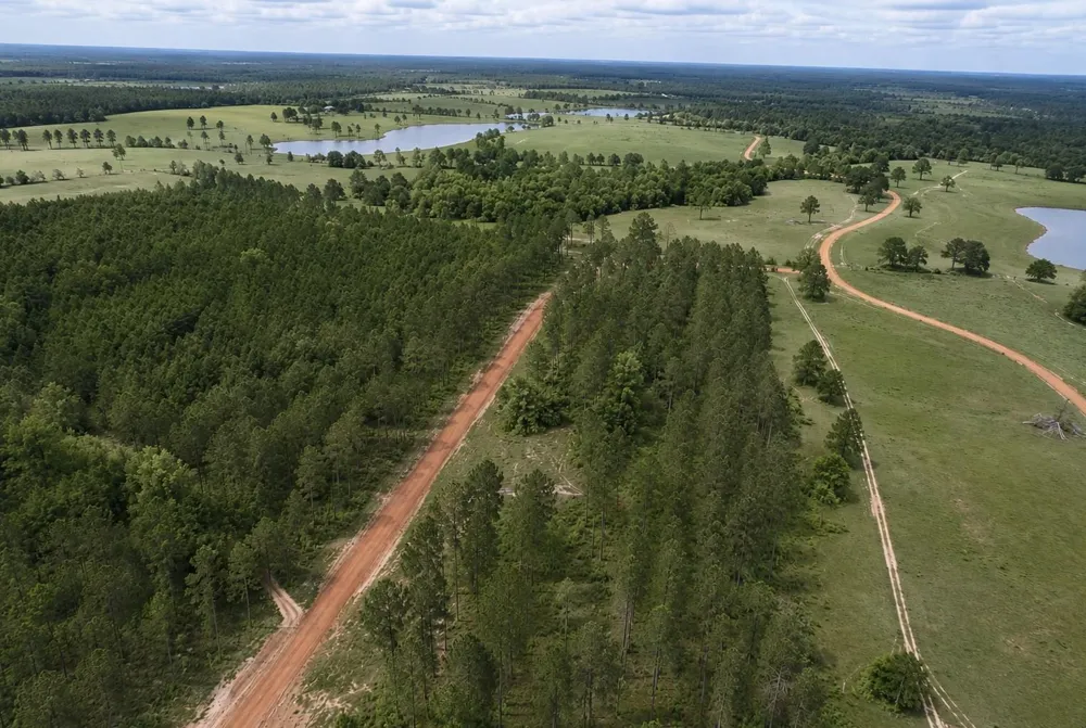 Timberline Dr Hillister, TX 77624