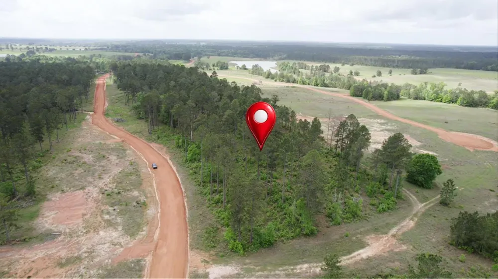 Timberline Dr Hillister, TX 77624