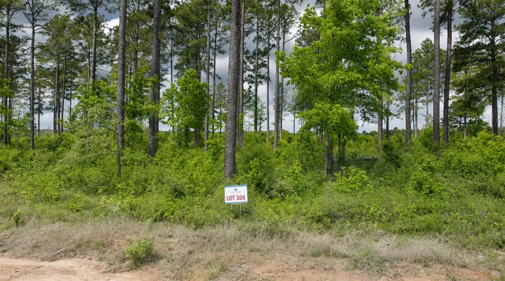 Timberline Dr Hillister, TX 77624