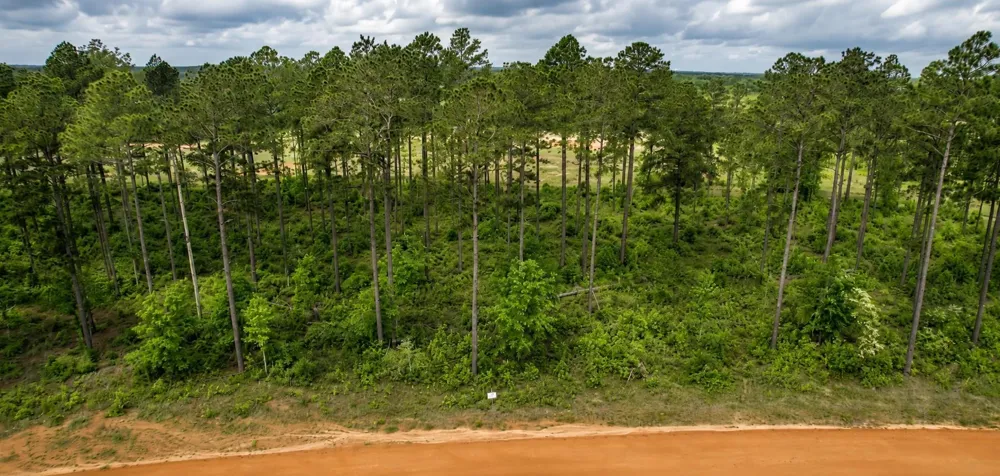 Timberline Dr Hillister, TX 77624