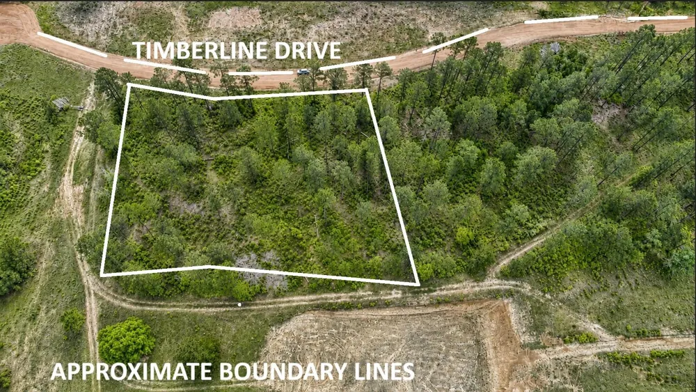 Timberline Dr Hillister, TX 77624