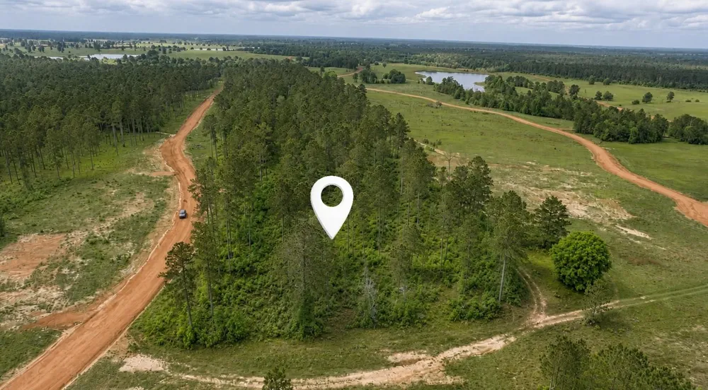 Timberline Dr Hillister, TX 77624