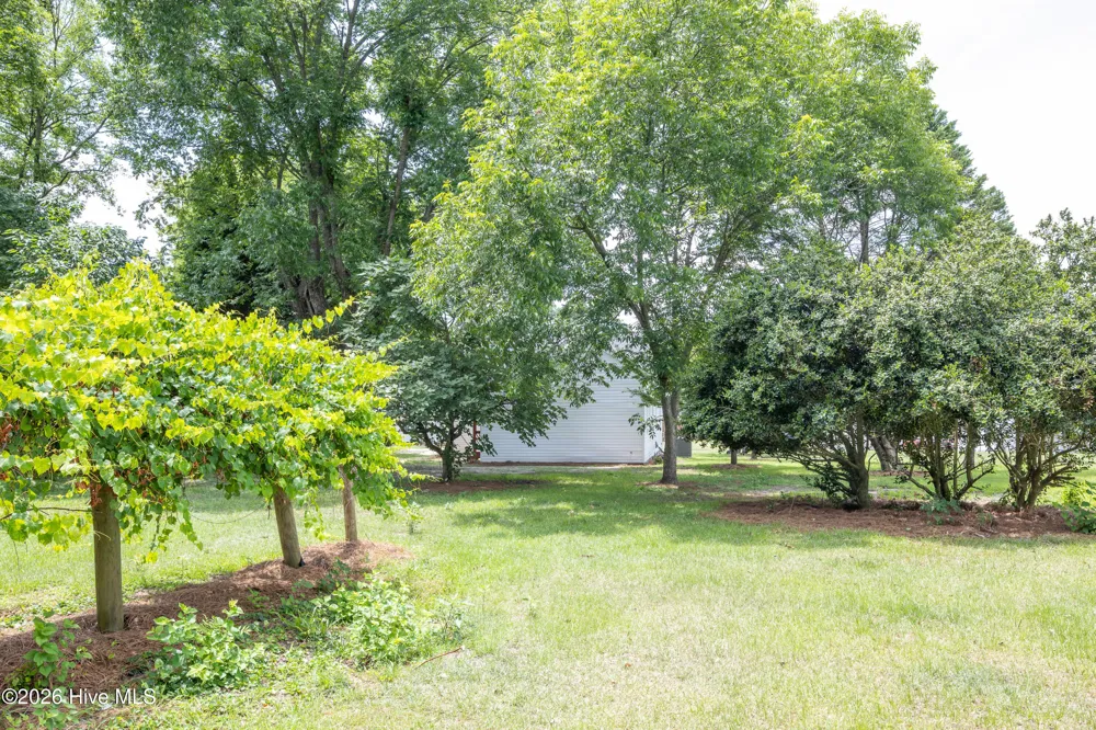 309 Stetson Street Clinton, NC 28328