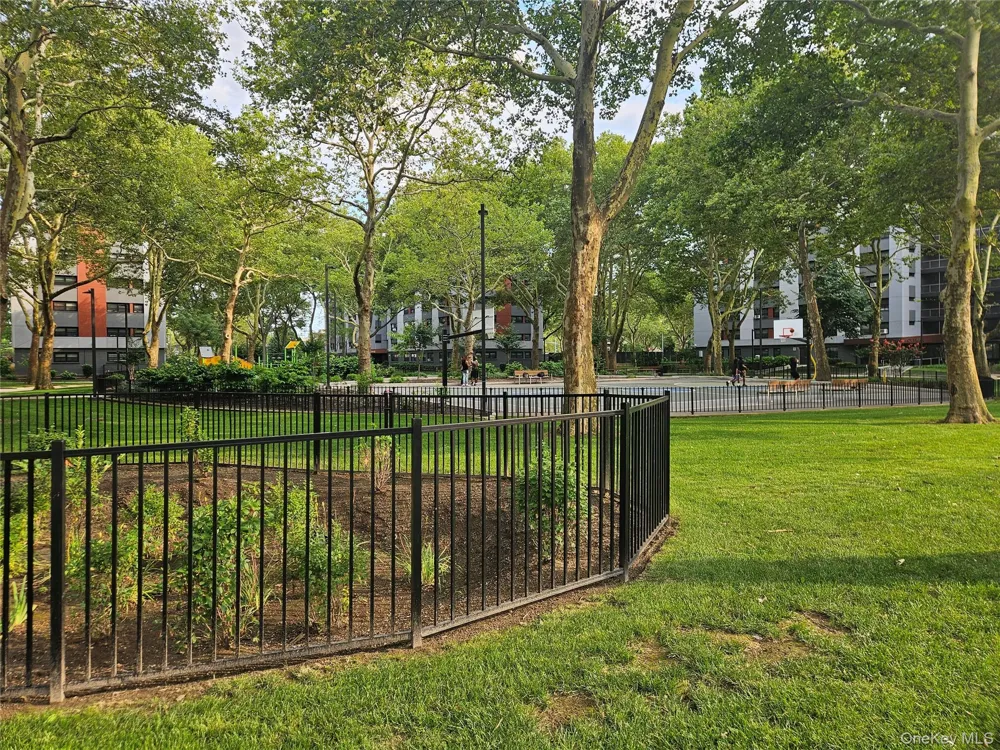 322 Wortman Avenue Brooklyn, NY 11207