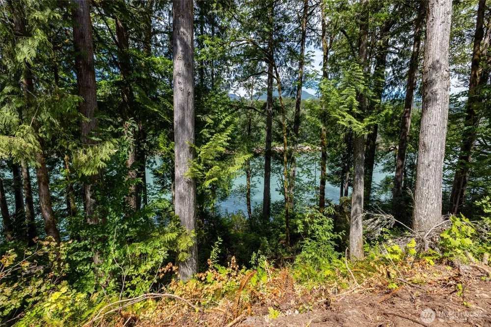 42683 Waters View Court Concrete, WA 98237