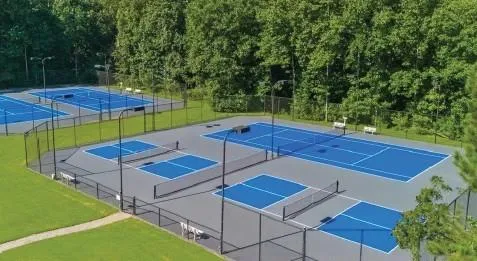 8620 Standing Stone Ball Ground, GA 30107