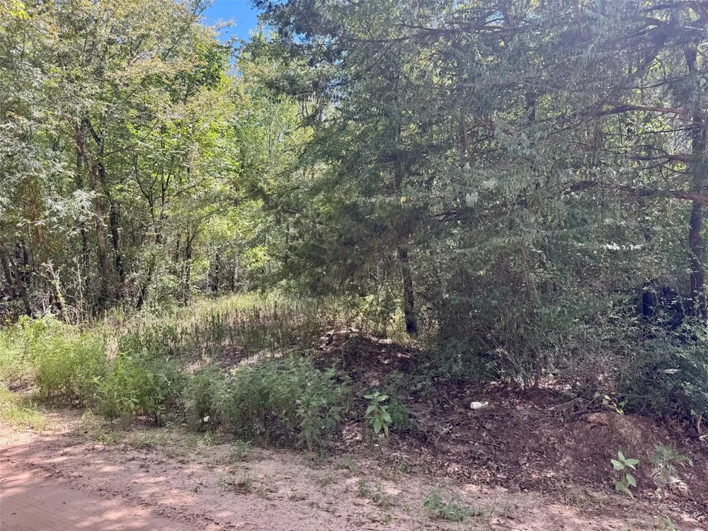 Cr 4545 Kennard, TX 75847