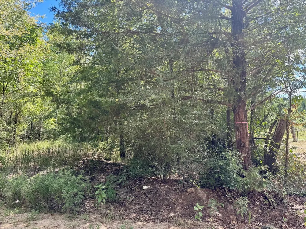 Cr 4545 Kennard, TX 75847