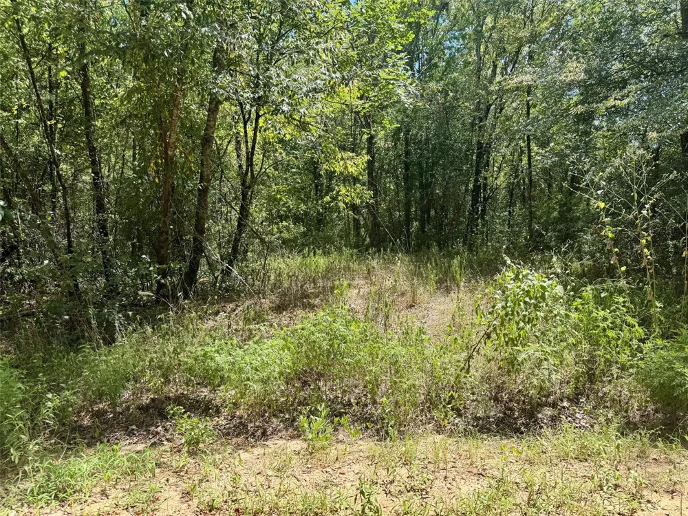 Cr 4545 Kennard, TX 75847