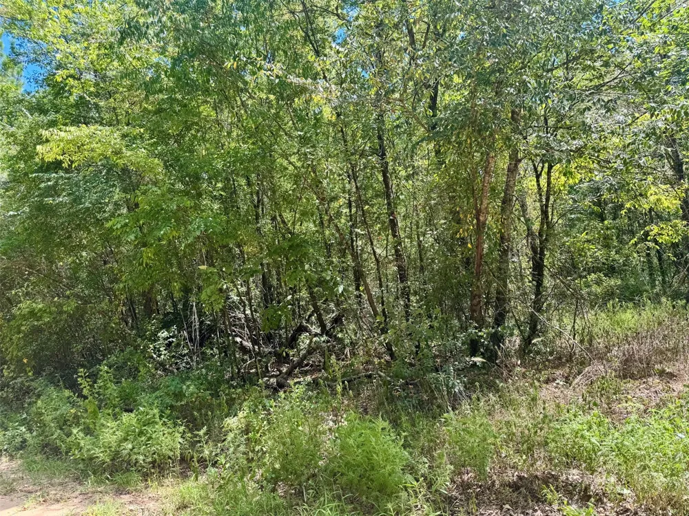 Cr 4545 Kennard, TX 75847