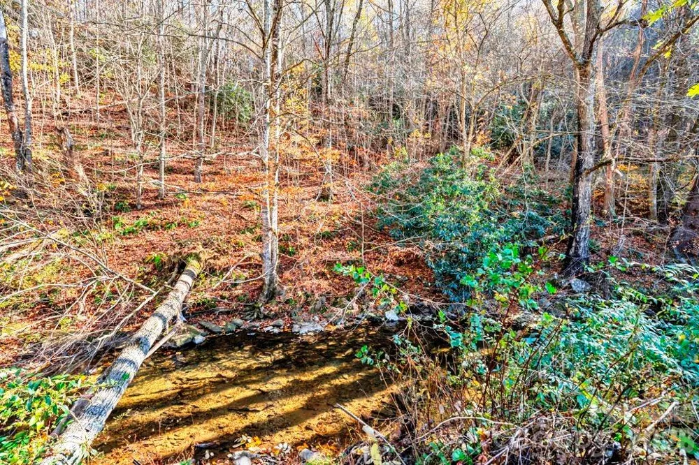 tbd E Little Horse Creek Road Lansing, NC 28643