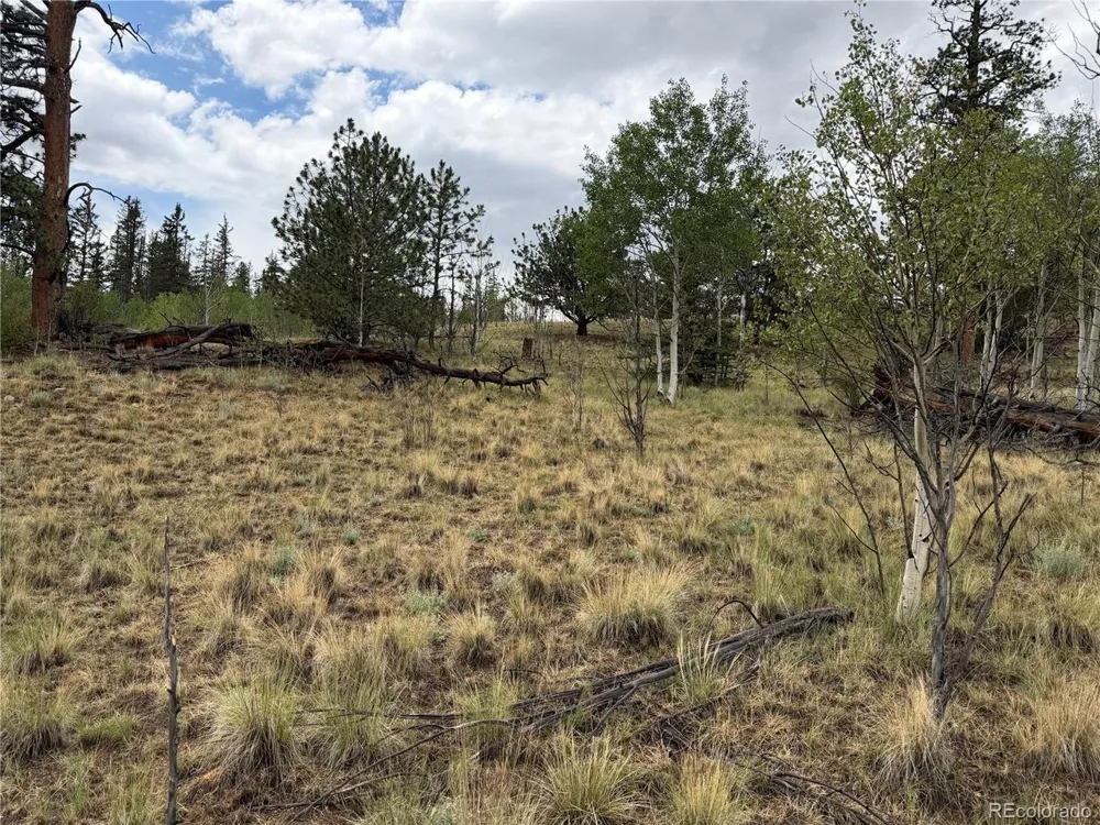 383 Spearpoint Road Como, CO 80456