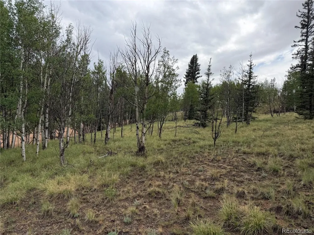 383 Spearpoint Road Como, CO 80456