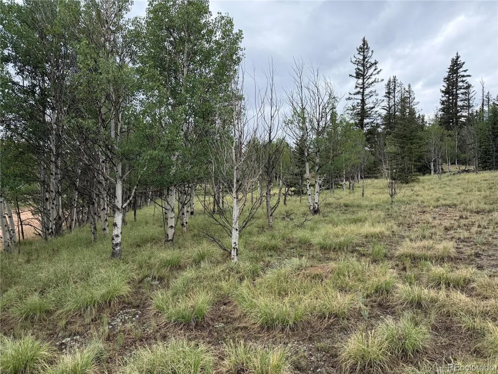 383 Spearpoint Road Como, CO 80456