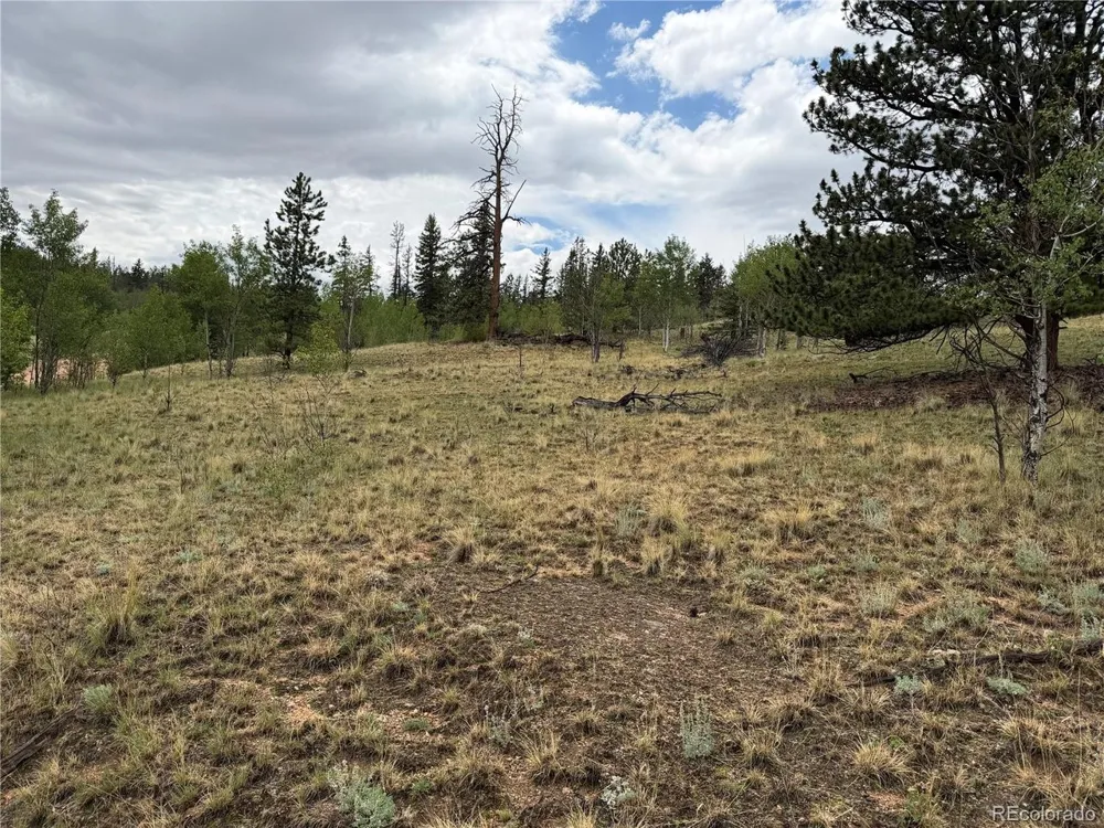 383 Spearpoint Road Como, CO 80456