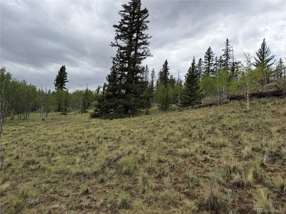 383 Spearpoint Road Como, CO 80456
