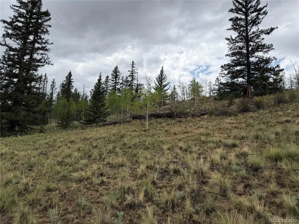 383 Spearpoint Road Como, CO 80456