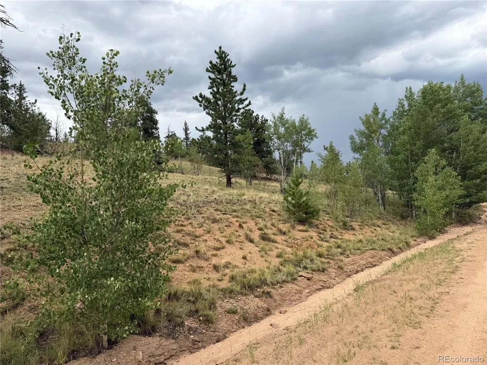 383 Spearpoint Road Como, CO 80456