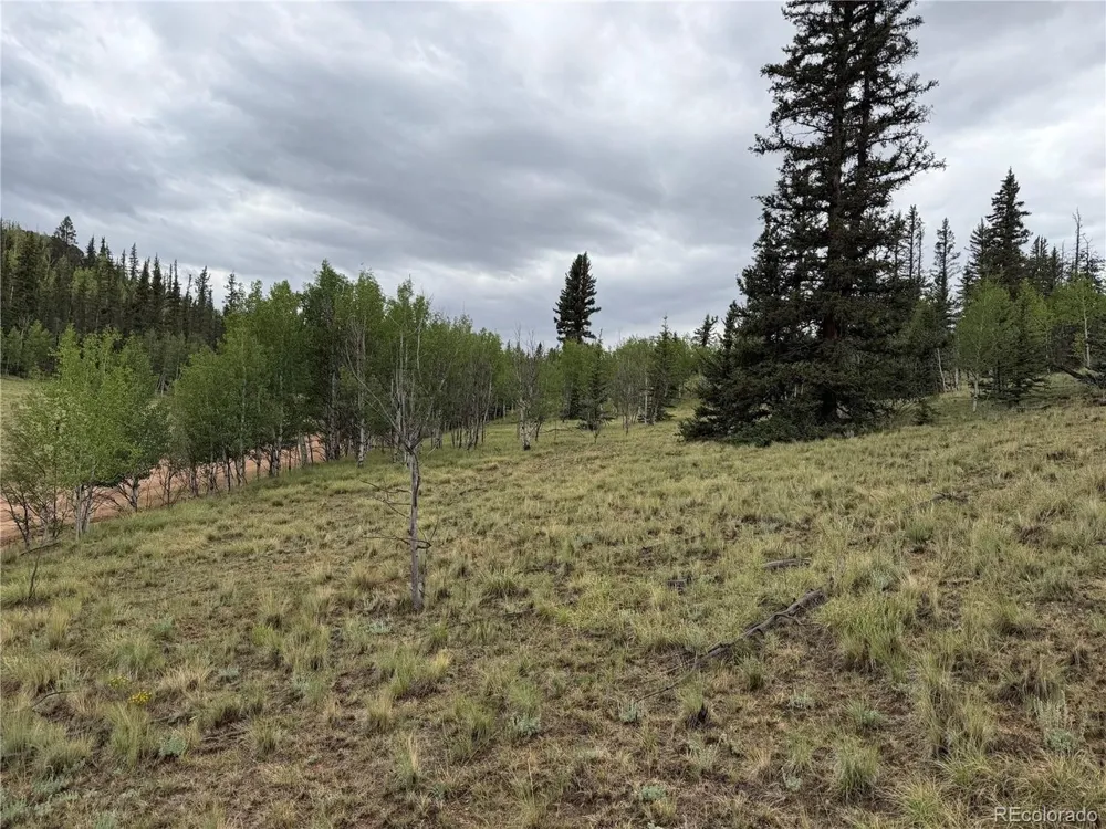 383 Spearpoint Road Como, CO 80456