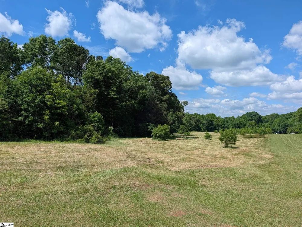 00 Watson Road Enoree, SC 29335