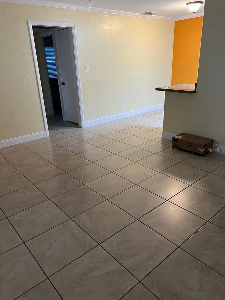 818 SCOTLAND STREET Dunedin, FL 34698