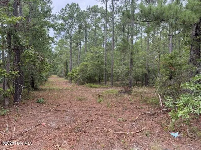 0 Nc Highway 210 Road Currie, NC 28435