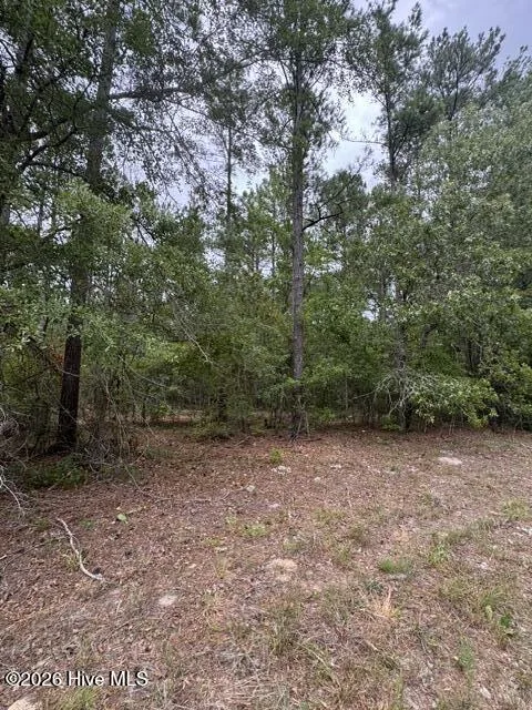 0 Nc Highway 210 Road Currie, NC 28435