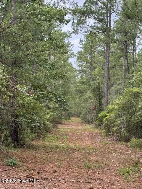 0 Nc Highway 210 Road Currie, NC 28435