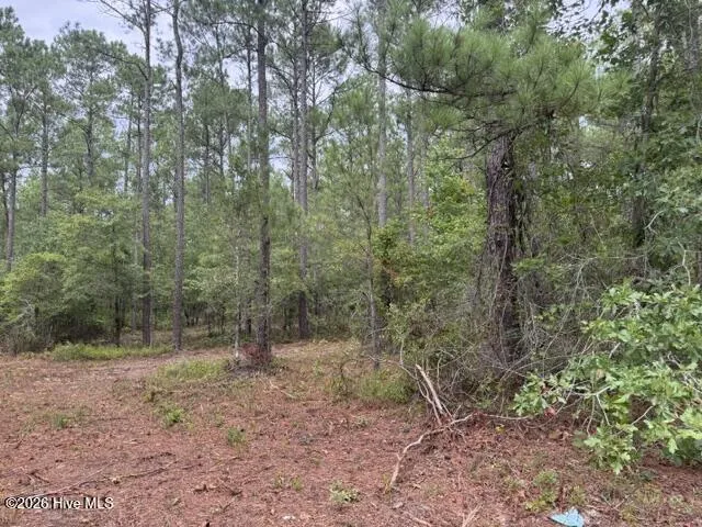 0 Nc Highway 210 Road Currie, NC 28435
