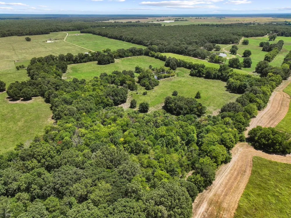 7091 FARM MARKET 412 Clarksville, TX 75426