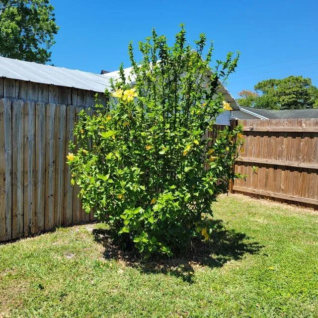 7431 SHEEPSHEAD DRIVE Hudson, FL 34667