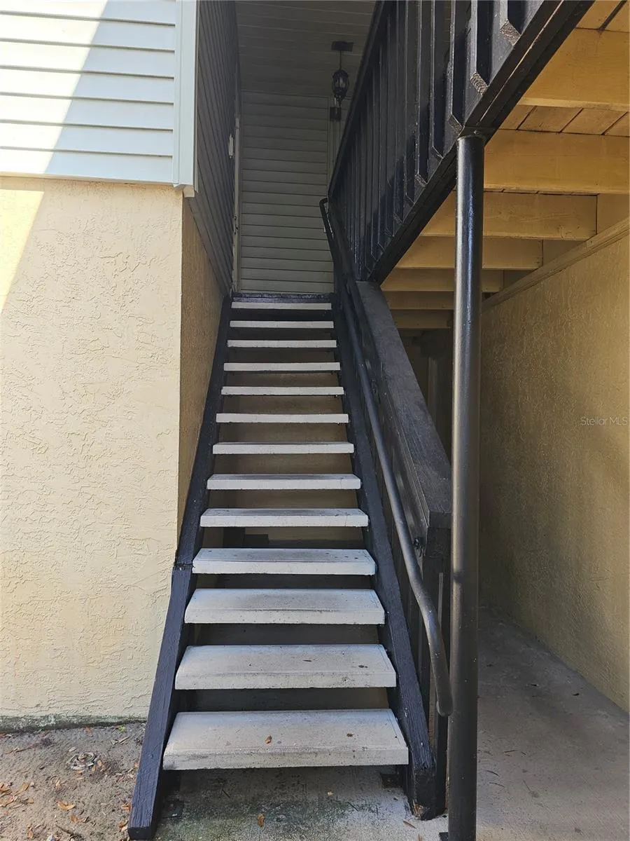 247 THORN TREE PLACE #247 Brandon, FL 33510