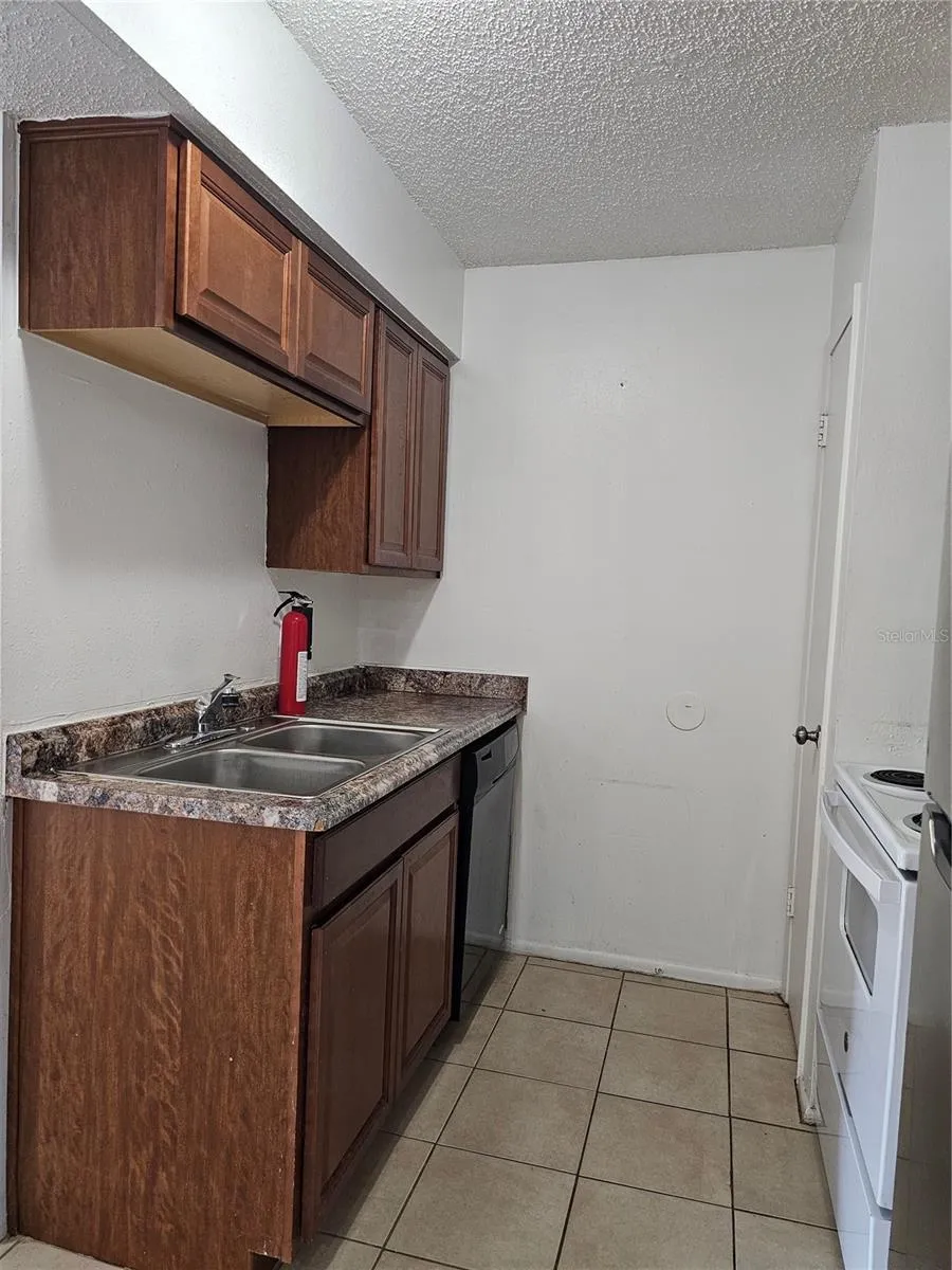 247 THORN TREE PLACE #247 Brandon, FL 33510