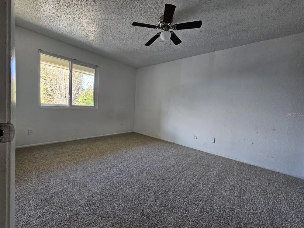 247 THORN TREE PLACE #247 Brandon, FL 33510