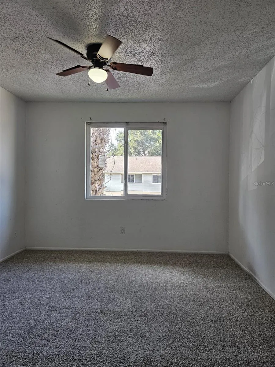 247 THORN TREE PLACE #247 Brandon, FL 33510