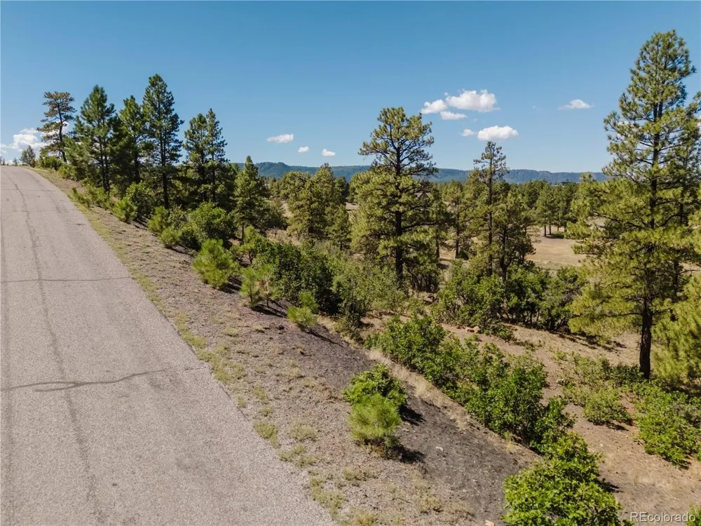 295 Sage Circle Pagosa Springs, CO 81147