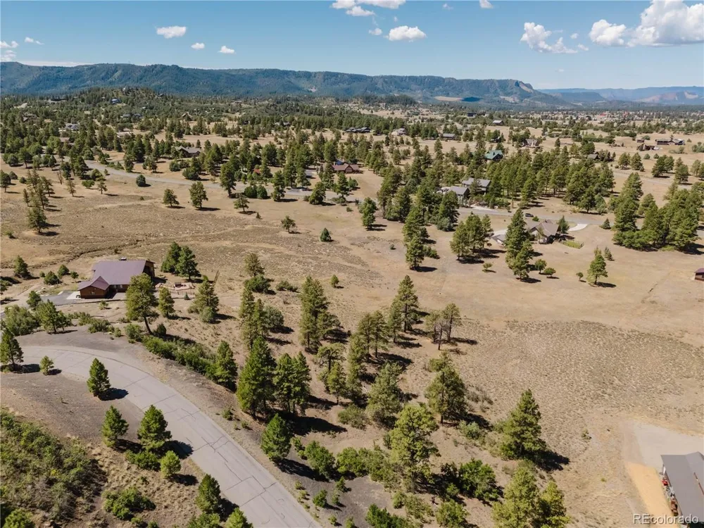 295 Sage Circle Pagosa Springs, CO 81147