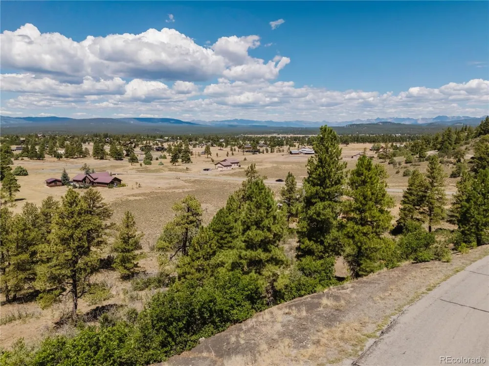295 Sage Circle Pagosa Springs, CO 81147