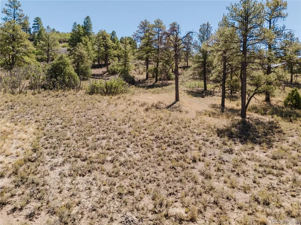 295 Sage Circle Pagosa Springs, CO 81147