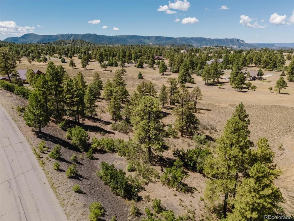 295 Sage Circle Pagosa Springs, CO 81147