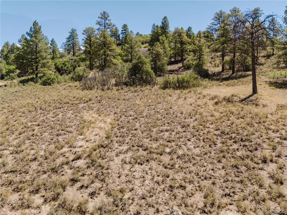 295 Sage Circle Pagosa Springs, CO 81147