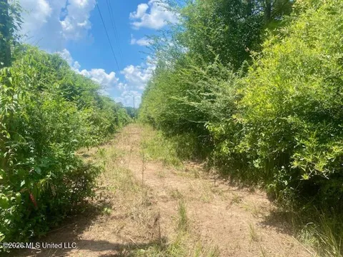 Archie Boyd Road