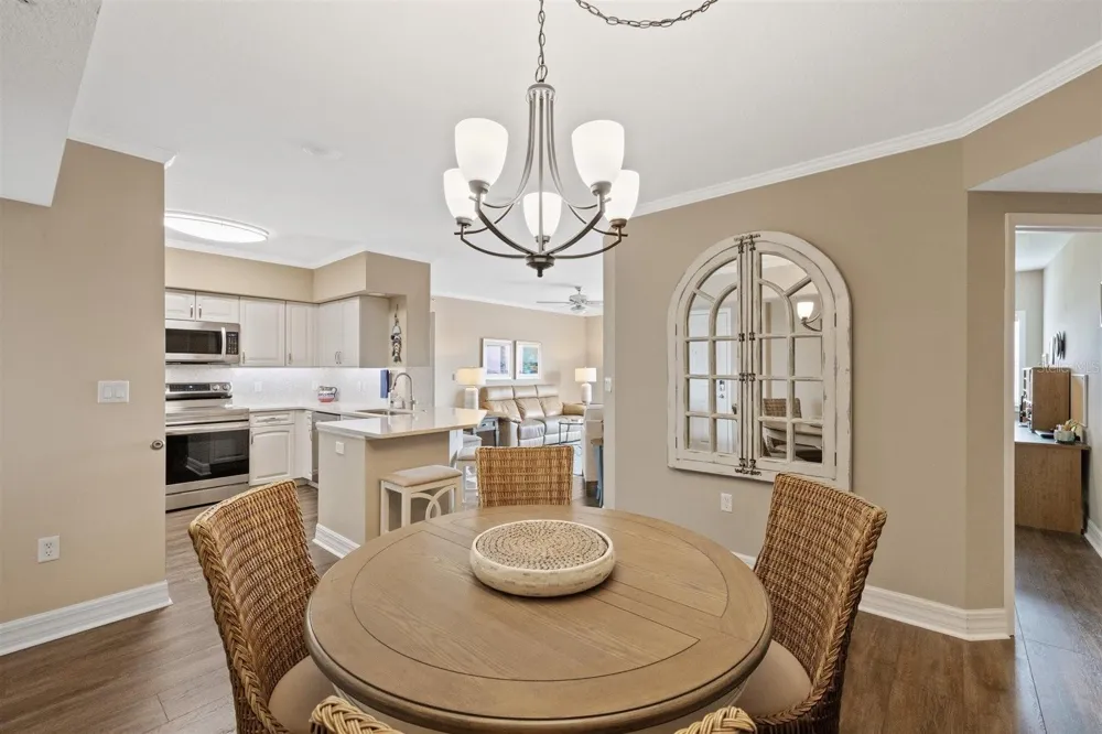4516 SEAGULL DRIVE #804 New Port Richey, FL 34652