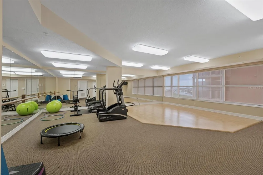 4516 SEAGULL DRIVE #804 New Port Richey, FL 34652