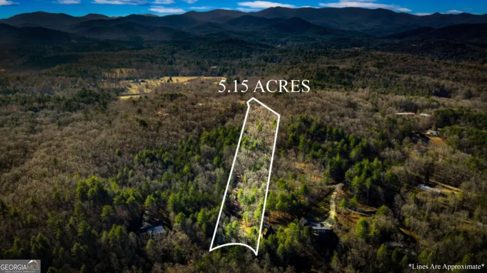 5.15 AC Spence RD Blue Ridge, GA 30513