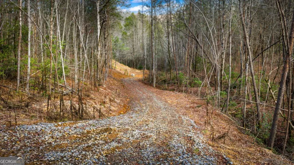 5.15 AC Spence RD Blue Ridge, GA 30513