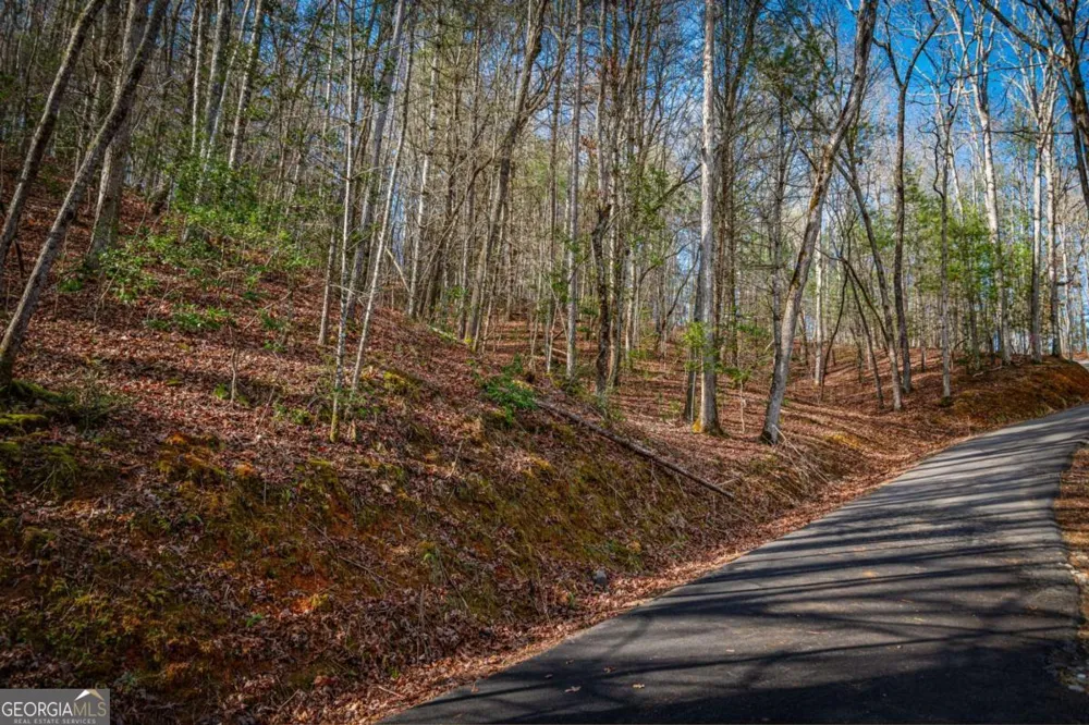 5.15 AC Spence RD Blue Ridge, GA 30513