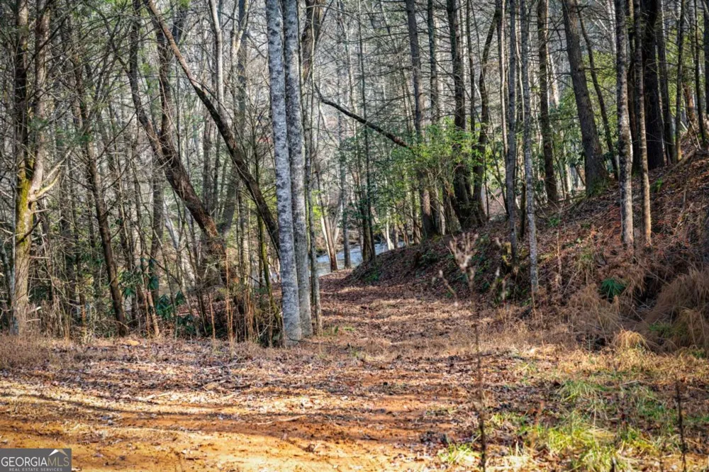 5.15 AC Spence RD Blue Ridge, GA 30513
