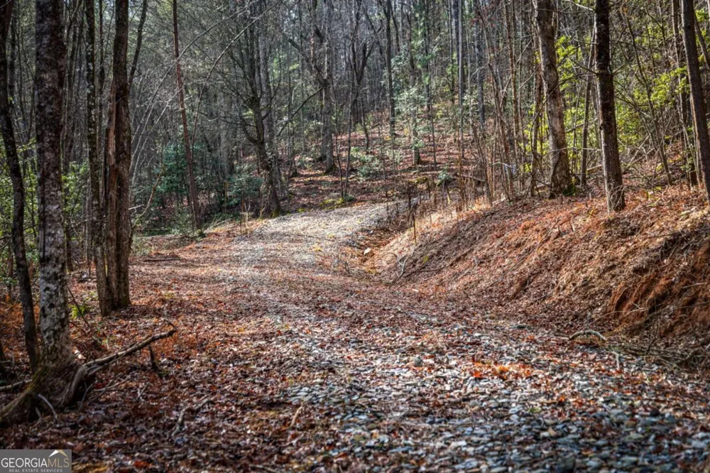 5.15 AC Spence RD Blue Ridge, GA 30513