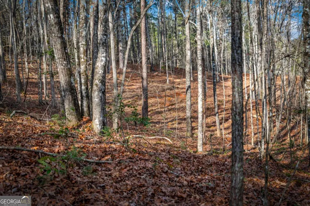 5.15 AC Spence RD Blue Ridge, GA 30513